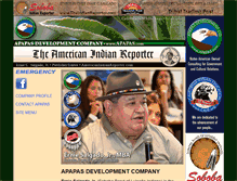 Tablet Screenshot of apapas.com